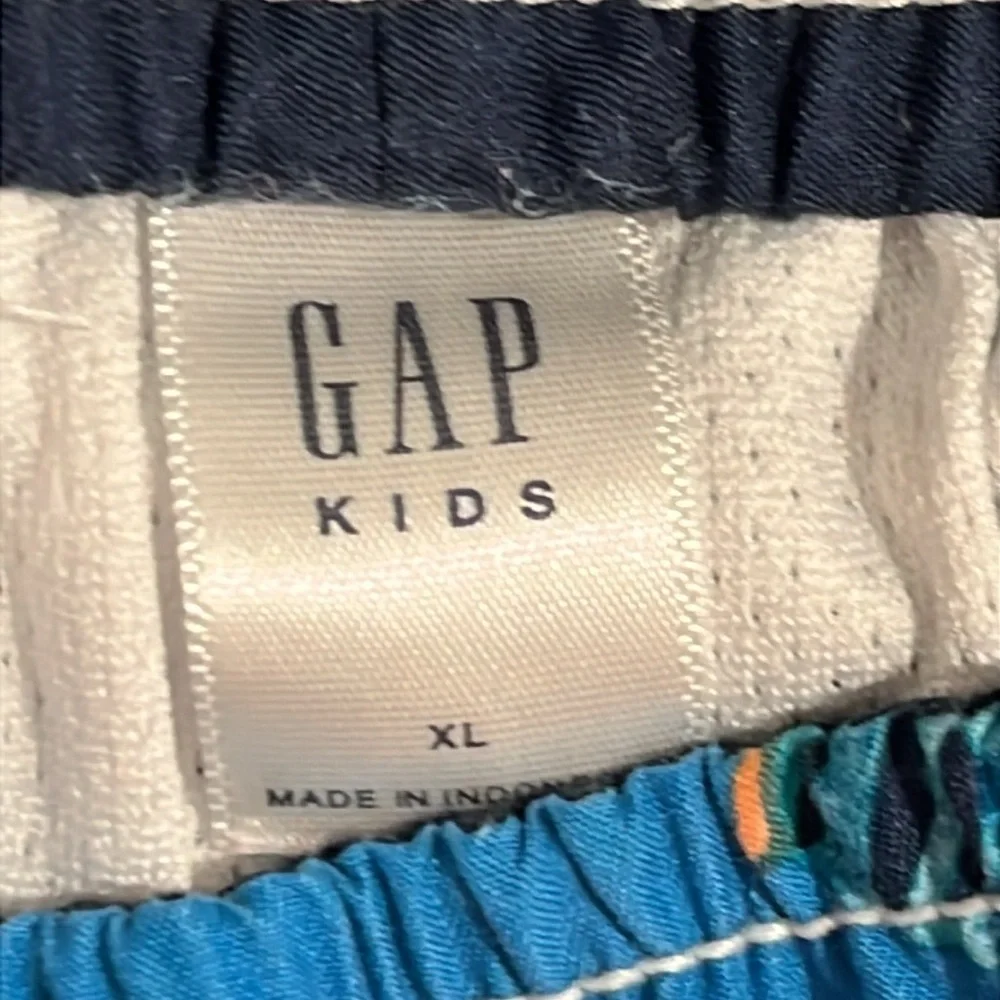GAP KIDS Youth Boys XL Swim Trunks Blue Ocean Fish Mesh Lining Swim Suit EUC